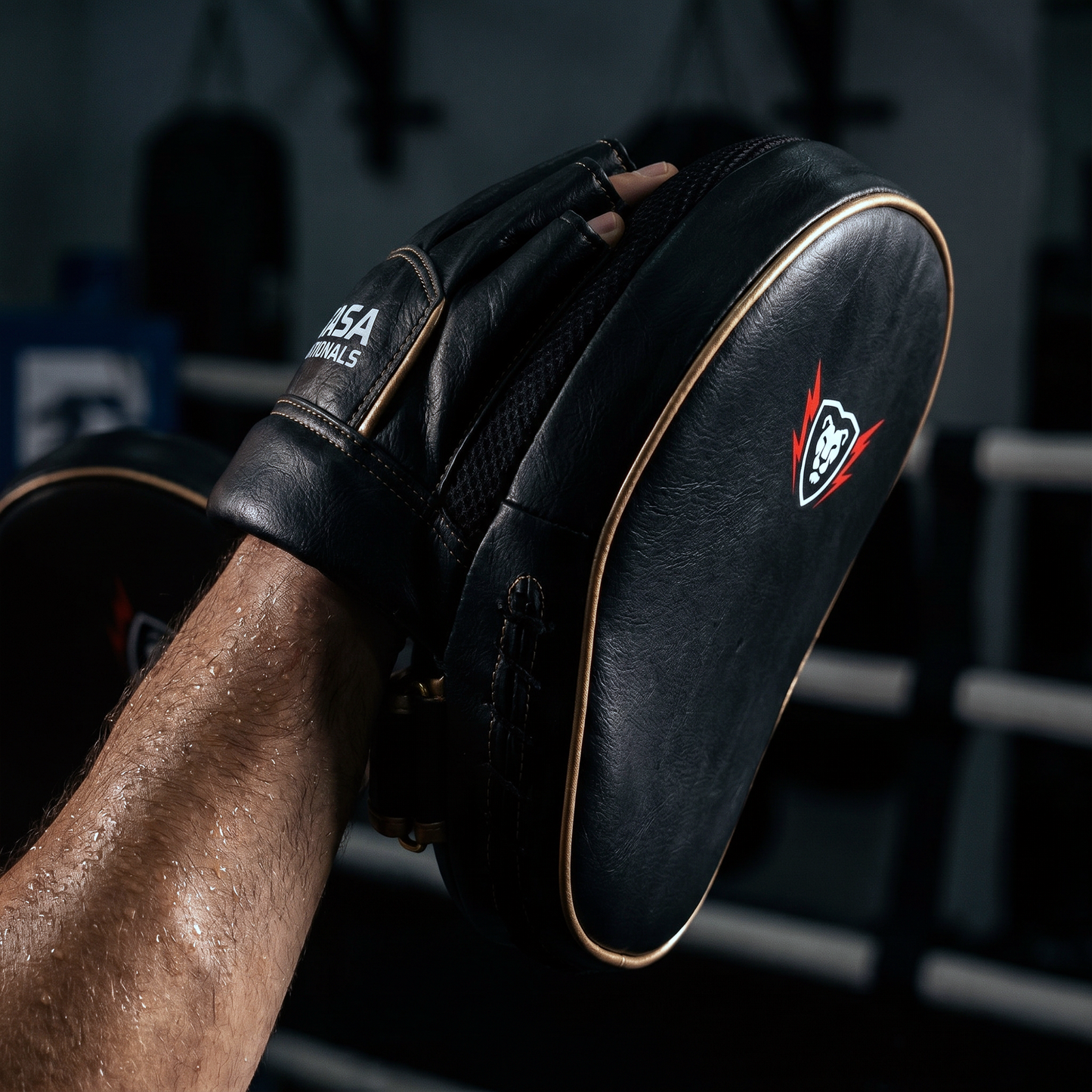 Artificial Leather Boxing Focus Pads